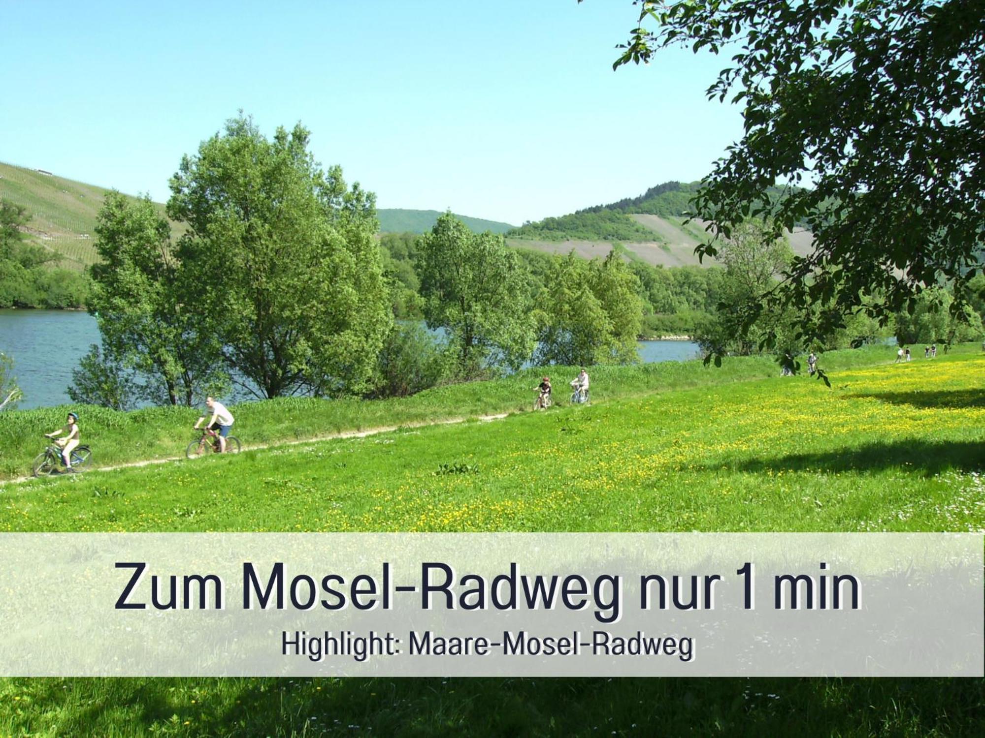 Ferienhaus Schwaab-Scherr, Genau Zwischen Bernkastel-Kues Und Traben-Trarbach, Mit Kostenlosem Oepnv-Ticket Fuer Bus Und Bahn, Parkplaetzen, Fahrradgarage Und Vielen Tipps Эрден Экстерьер фото